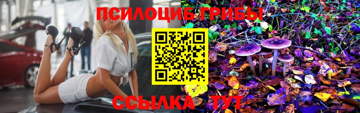 Псилоцибиновые грибы прущие грибы Новоалександровск