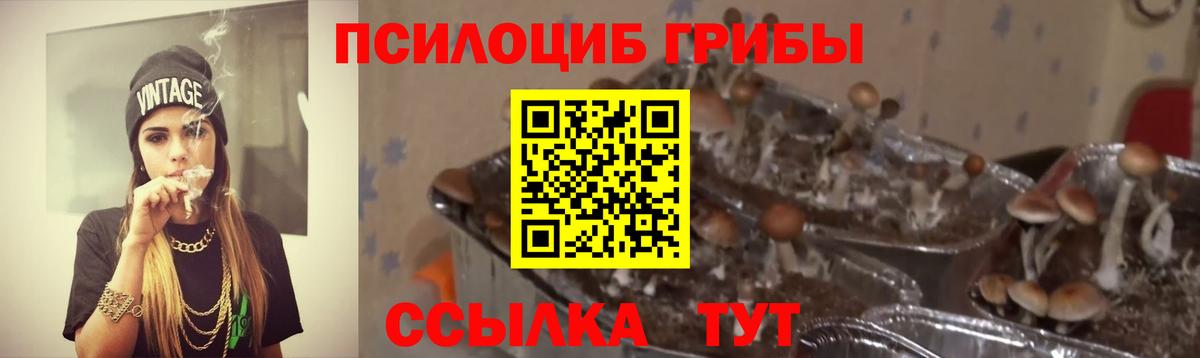 Галлюциногенные грибы мухоморы  Галлюциногенные грибы прущие грибы  Новоалександровск  Вход с VPN 